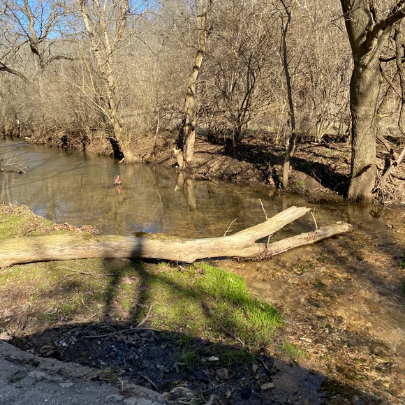 My Closet - Picture 6 of 10